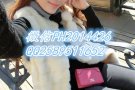 QQ2589511652 【新加坡劳务】竭诚为您服务 微信PH2014426 