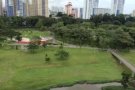 超大普通 交通便利 环境舒适 免中介费 人口少  免中介费