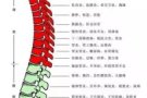 正规按摩中式指压，上门服务