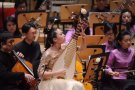 新加坡南洋艺术学院民乐乐器教学