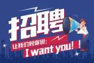 【】新加坡四号司机专场招聘，零中介费特价收费工作，微信：2444716166~~