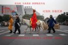 广州海运空运至新加坡货运专线，实力双清门到门