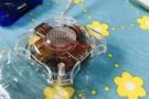 全新 USBx4  $8迷你读卡器$5