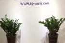 中国至新加坡10年空海运门到门，包清关，包派送 一手大庄 400RMB每立方