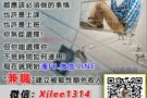 全新自动跟进系统创业累积终身收入
