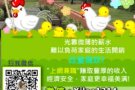厌倦朝九晚五工作吗? 你在找寻机会吗?想摆脱穷忙族吗？免费询问