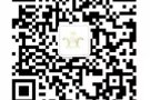 WP1个，女美发学徒QQ/微信：76676538