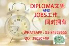 半工半读，低费留学