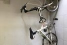 名牌自行车，自取，100