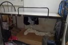 出售双层单人床   Sale of some bunk single beds