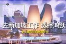 司机，客房，啤酒销售，面包学徒，设计等QQ微信：2071607625