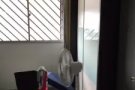 靠近兀兰地铁站招一位男搭房，房间干净整洁 包水电网 可报地址