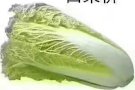 夫妻房 单间 金文泰西海岸大牌722 班丹花园大牌403 可以报地址 