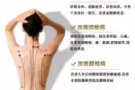 中医理疗—纯绿色疗法