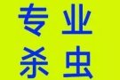 专业团对机器杀虫！蚂蚁，白蚂蚁！蜱虫杀绝后付款！！批发杀虫药全岛价格最低！ 