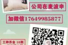好工作都在这里