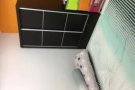 341B Sembawang close