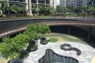 豪华公寓【主人房/ 普通房】(全包) 6月1日入住，近巴西立地铁站 – 免中介！