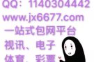 一站式包网平台