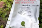 DR SUNG抗老面膜，走出你我的第一步！