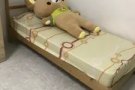 近中央医院，中巴鲁超大普通房招搭房，或整租。