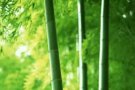 找换工作我们是认真的，微信:ls7347086