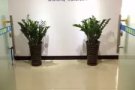 中国到新加坡海运，家具，淘宝商品送货到门380RMB