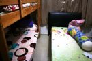 海軍部主人房 招女搭房