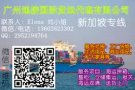 精品海运航线 双清航线 双清海运门到门至新加坡