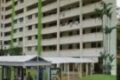 义顺701-3屋组屋出售7分钟到地铁站，看了 周圍 環境 滿意才談價錢