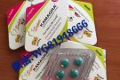 新加坡正品伟哥专卖，延时助勃，更多产品咨询微信:WG81948666