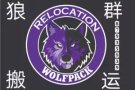 狼群专业搬家，政府注册公司。小或大型搬运，免费上门估价和纸箱。诚信，价格合理！