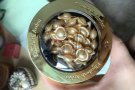 伊丽莎白雅顿金胶 抗老精华 60粒装