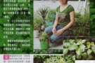 草药“苦粒心还我美肤”