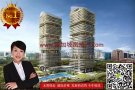 银峰 - 新加坡乌节路永久地契