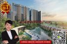 新加坡后港私宅- 东北区 