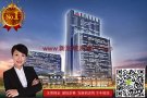 新加坡豪宅 - 华利世家
