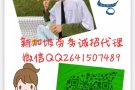 新加坡资质公司大龄男女保洁单子来喽微信2641507489