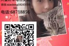 本土中介常年招收各工种工人/代理详情添加微xiaobing18243550561