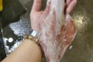 吉祥莲心食品 --- 新鲜海产 平 ，靓 ， 正 ， 新鲜