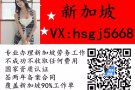 新加坡正规工作签证 资质公司 不成功不收费 详情加微了解 hsgj5668