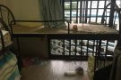 上下铺，配带床板，总共四套