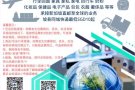  新加坡-中国，空/海运 专线物流，一流的服务，顺利的邮寄，舒心的接收