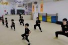 ShaoLin Club 新加坡少林俱乐部