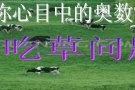 小学奥数：“牛吃草”问题详解，孩子的丢分点，期末复习可别错过