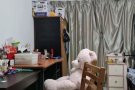 南洋理工大学旁普通房双人间床位出租，限中国人，女生