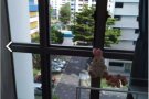 阿裕尼地铁口 经济小单间 可报地址 无屋主 无中介费 可煮 免费带看