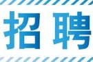 聘请文员admin