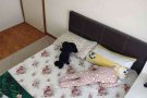 马里士他 近EASB 科廷大学 公寓单人间 限本月押金减免 三月起租 无中介费 