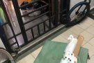 找新加坡在中国购物的朋友一起拼单便宜